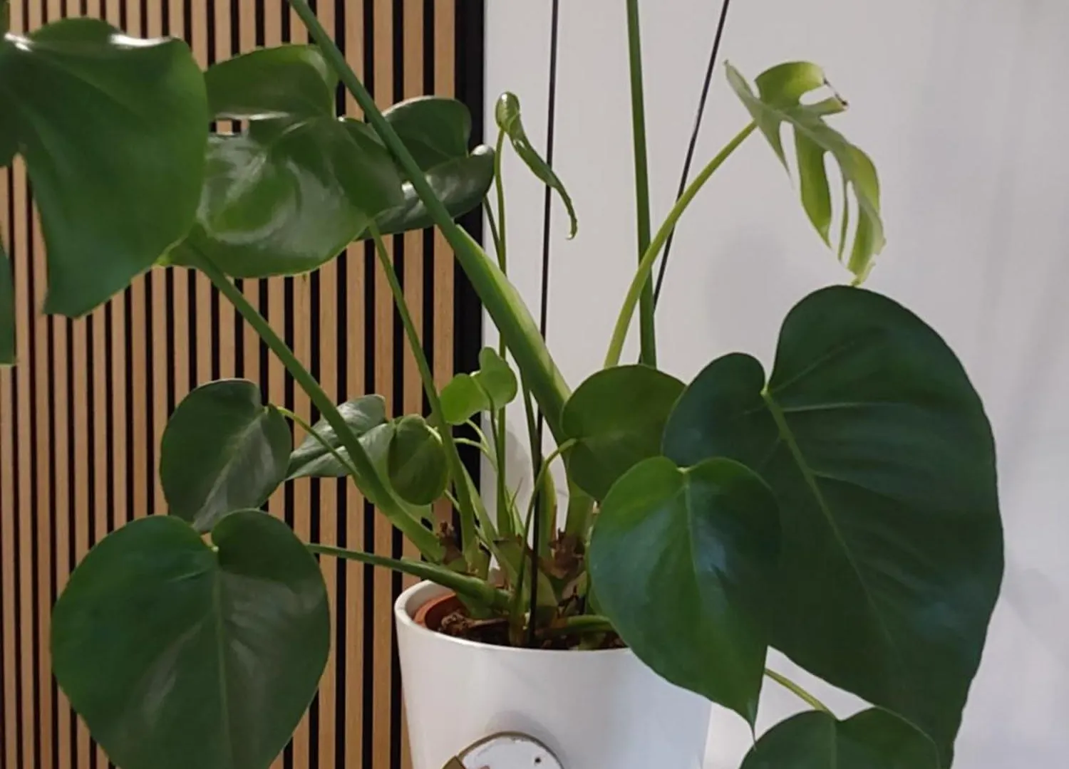 Ferienwohnung Toni Мемминген